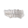 Essix Retainer